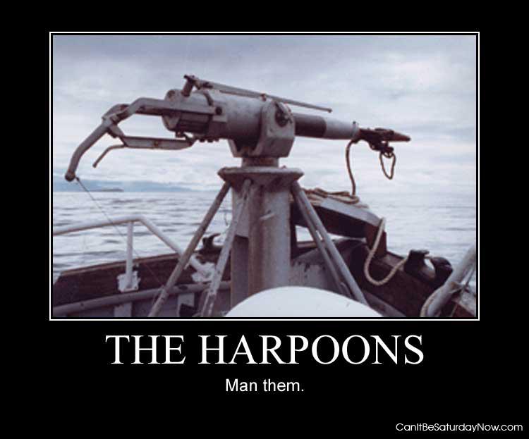 The harpoons - man them!